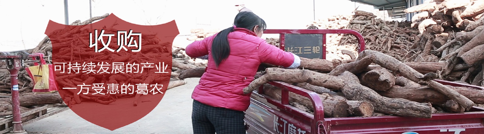 內(nèi)頁(yè)橫幅一