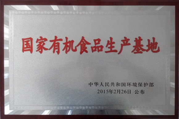 1744956584844070.jpg 6.jpg