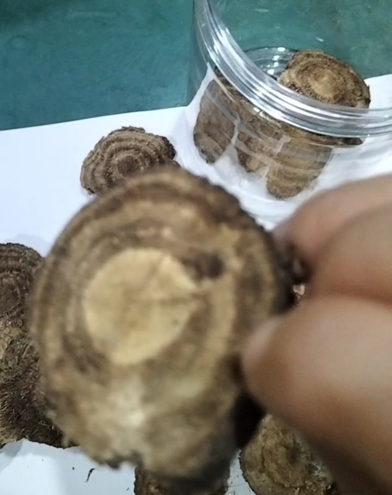 1756113161979242.jpg 二月風(fēng)野生葛根丁.jpg