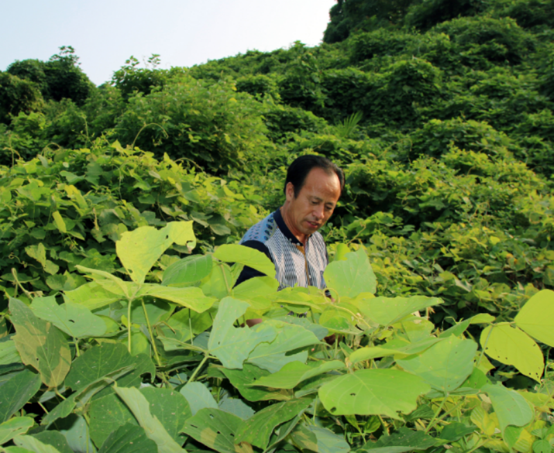 1757064361997669.png 基地.png