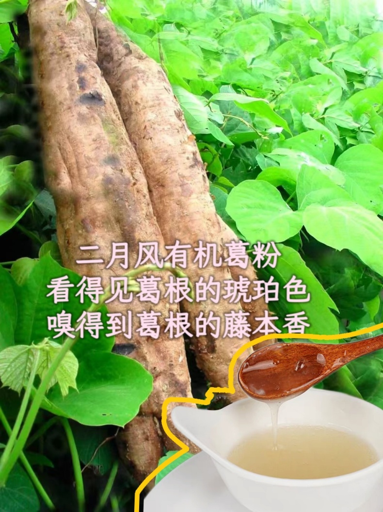二月風(fēng)有機(jī)葛粉，看得見(jiàn)葛根的琥珀色，嗅得到葛根的藤本香_790.jpg