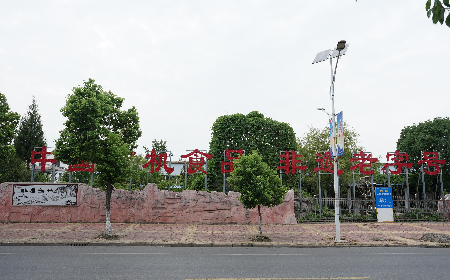 當(dāng)定制葛粉時(shí)，我們真正在選擇什么？