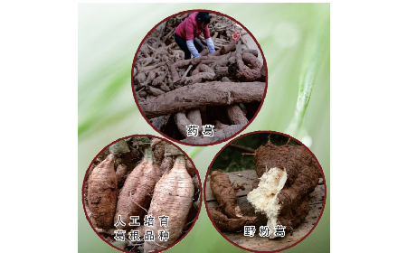 買葛粉是買野生的好？還是野生有機的好？