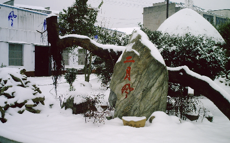 二月風(fēng)致老友：一碗葛根粉的牽掛，農(nóng)博會(huì)上的重逢之約二月風(fēng)盼老友：農(nóng)博會(huì)上，再續(xù)葛粉情緣