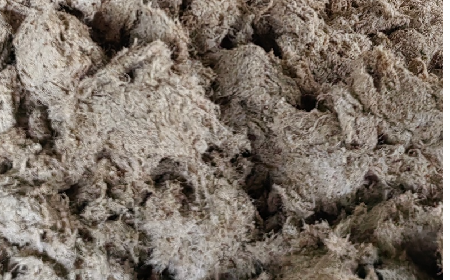 深入大洪山，只為一口純凈 -二月風(fēng)今冬野生葛根收購(gòu)紀(jì)實(shí)